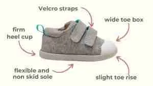 best shoes for new walkers - what to look for