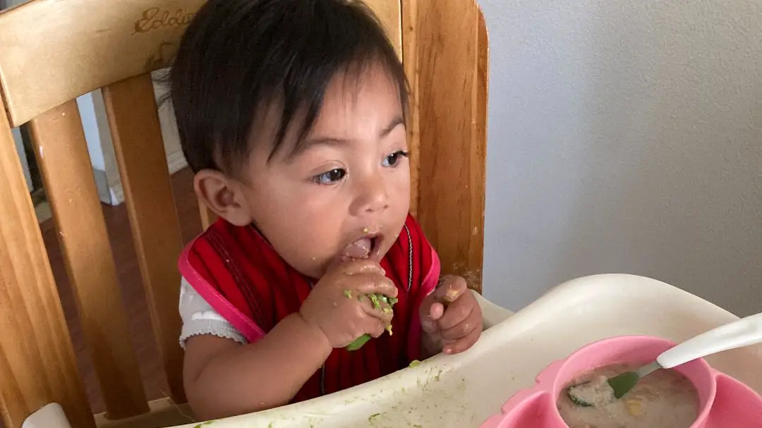 https://latinxmontessori.com/wp-content/uploads/2023/02/Best-Products-For-Baby-Led-Weaning-To-Start-Solids-In-2023.jpg
