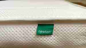 Newton twin mattress review