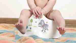 potty training treats for toddlers