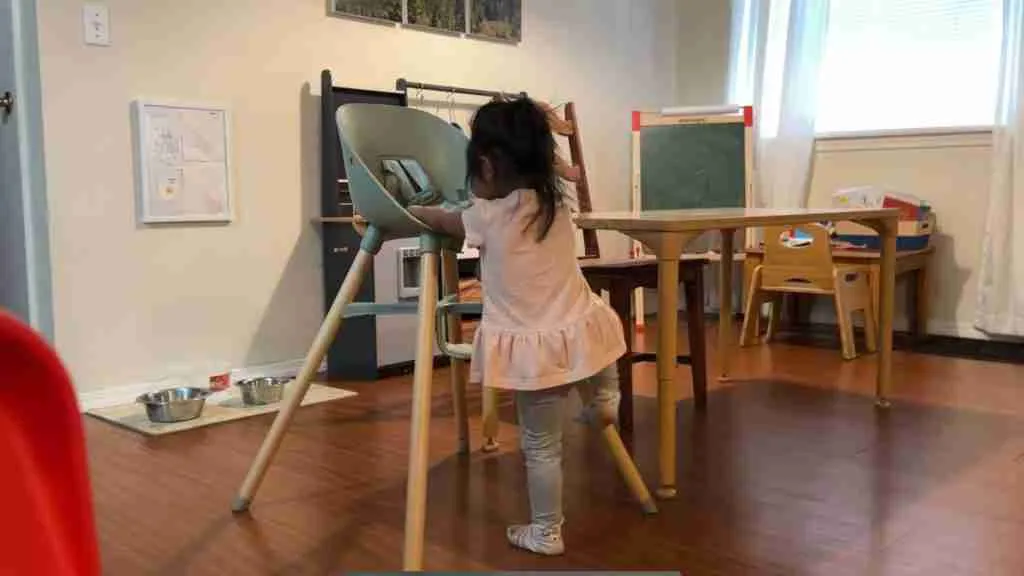 Lalo high chair review - to hard to get on and off independently