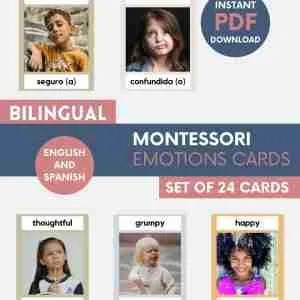 Montessori 3 part cards