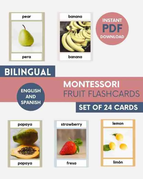 bilingual fruit montessori 3 part cards