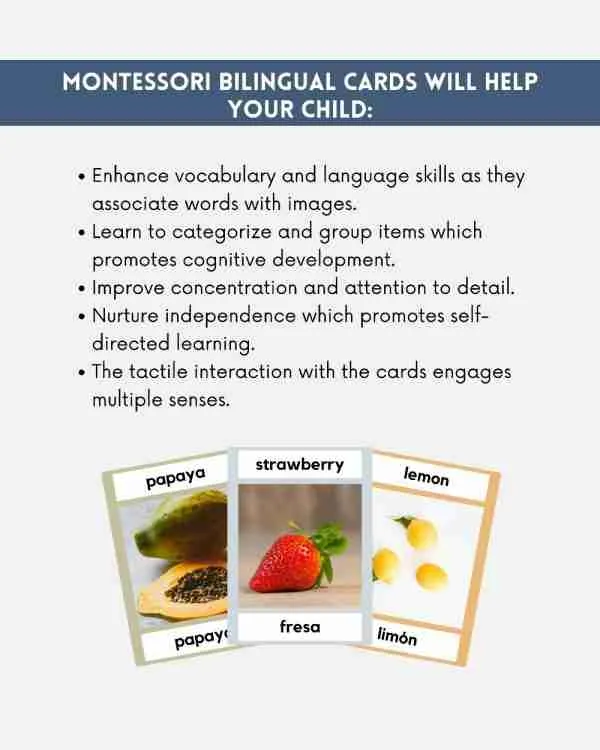 bilingual fruit montessori 3 part cards benefits
