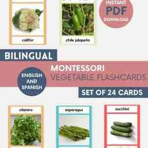 montessori language cards vegetables